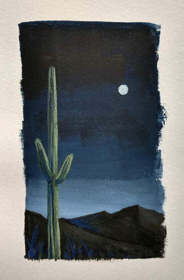moonlit cactus