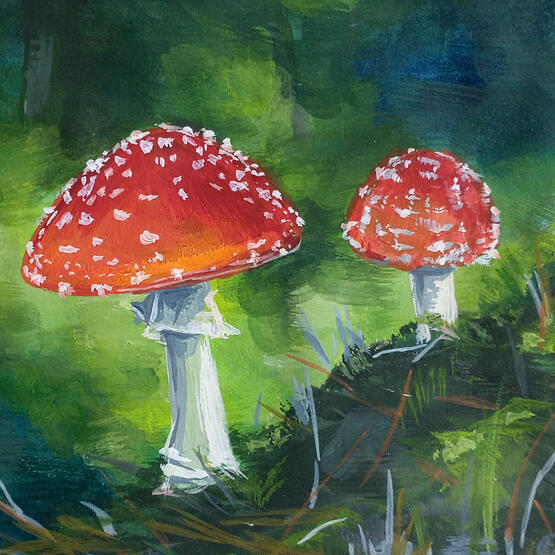 mushrooms